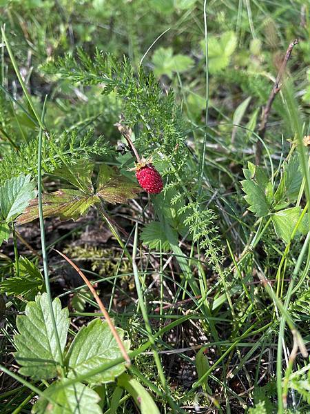 找出源頭、解決問題