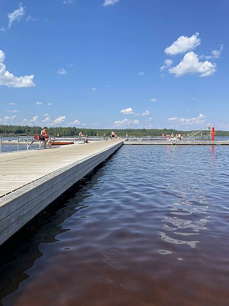 大罷免海外(芬蘭)媒體報導