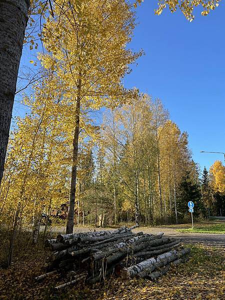葡萄乾怕風聲 / 《貓房子》 葡萄乾怕風聲 / 《貓房子》