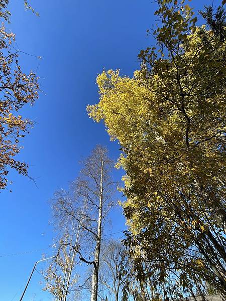 沒準時到軍營報到,100萬飛了 沒準時到軍營報到,100萬飛了