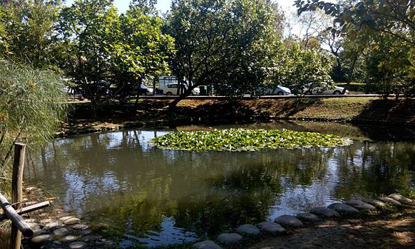 桃園八德埤塘生態公園 (2).jpg