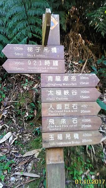 南投竹山天梯 (34).jpg