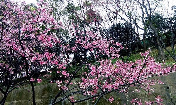 桃園龜山壽山巖 (13).jpg