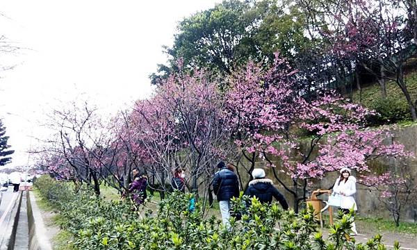 桃園龜山壽山巖 (21).jpg