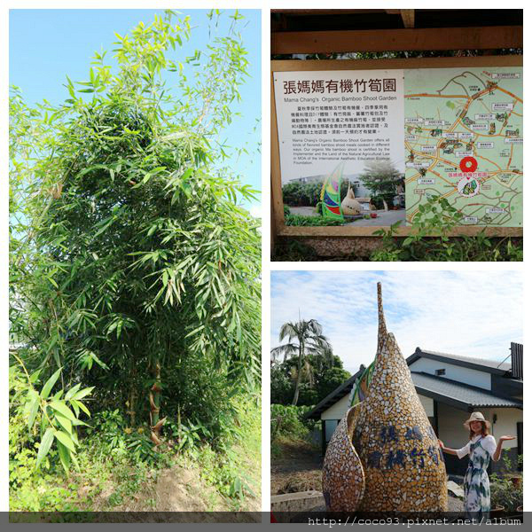 宜蘭橫山頭-花棗勝洋鄉村文青微旅行 (2).jpg