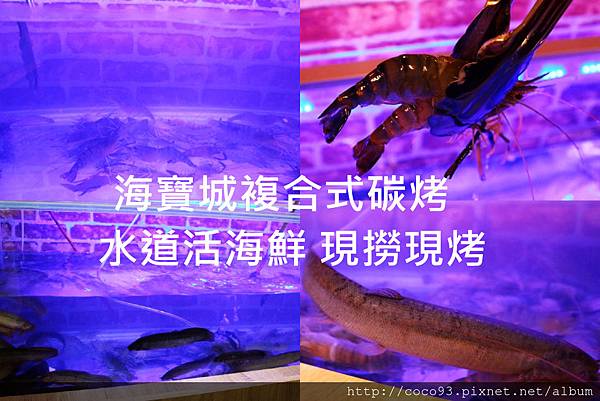 海寶城水道蝦 (10).jpg 海寶城水道蝦 (10).jpg