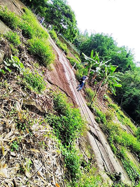 雲林古坑草嶺石壁森林療癒小旅行 (1).jpg