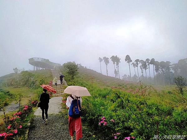 雲林古坑草嶺石壁森林療癒小旅行 (5).jpg