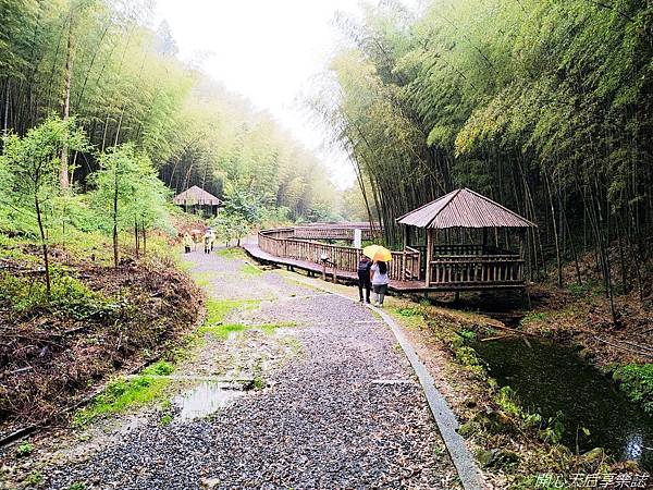 雲林古坑草嶺石壁森林療癒小旅行 (13).jpg