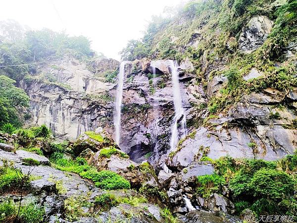 雲林古坑草嶺石壁森林療癒小旅行 (17).jpg