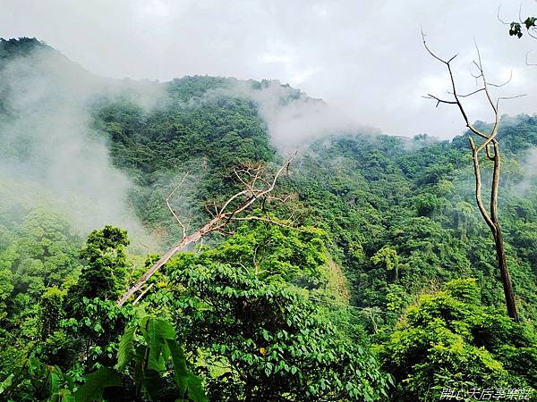 雲林古坑草嶺石壁森林療癒小旅行 (18).jpg