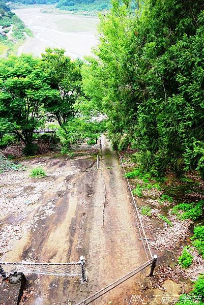 雲林古坑草嶺石壁森林療癒小旅行 (30).jpg