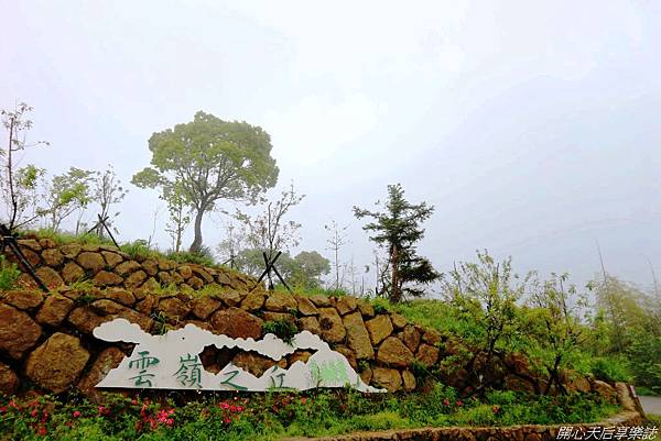 雲林古坑草嶺石壁森林療癒小旅行 (45).jpg