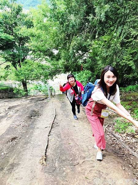 雲林古坑草嶺石壁森林療癒小旅行 (50).jpg