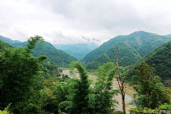 雲林古坑草嶺石壁森林療癒小旅行 (52).jpg