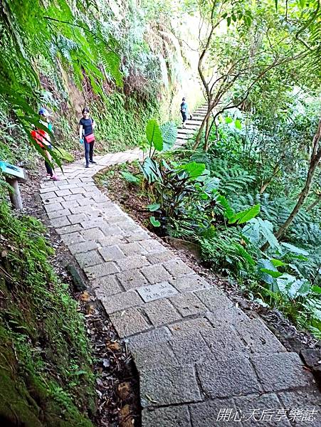 象山親山步道 (34).jpg