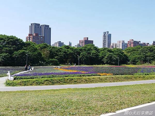 古亭河濱公園-河濱自行車道 (9).jpg