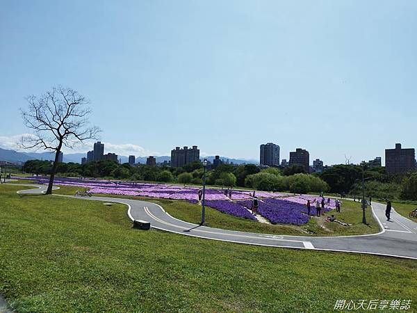 古亭河濱公園-河濱自行車道 (12).jpg