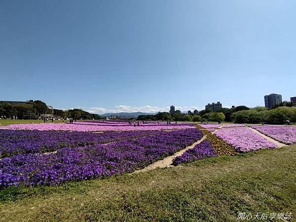 古亭河濱公園-河濱自行車道 (36).jpg