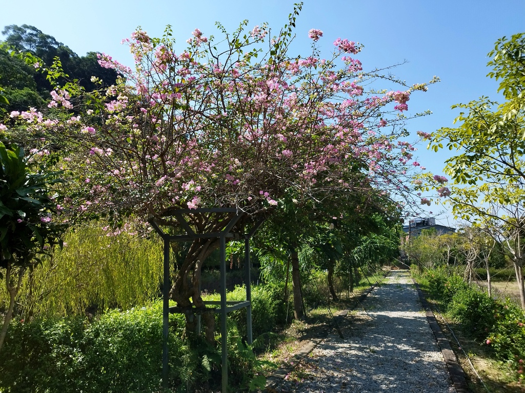 三峽無菜單聚會高級美食餐廳景觀祕境豪華冷盤伴手禮 (26).jpg