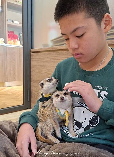 Meerkat75 Café - 75度獴主題餐廳 (31).jpg