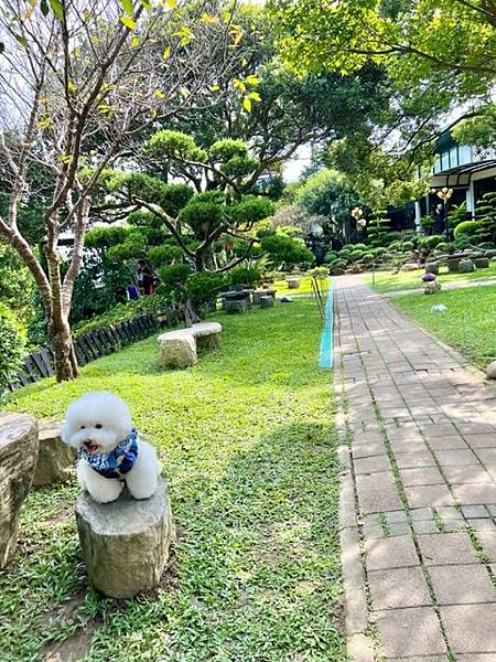 山水緣庭園景觀餐廳♡龍潭客家美食推薦|桃園楊梅寵物友善餐廳