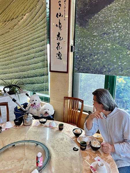 山水緣庭園景觀餐廳♡龍潭客家美食推薦|桃園楊梅寵物友善餐廳