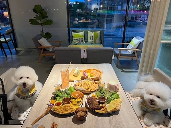 中壢寵物友善餐廳【Wonder Tree 玩逗樹咖啡中原店】