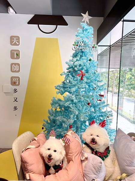 網美風質感鍋物也是寵物友善餐廳桃園藝文特區美食推薦玖圍鍋 網美風質感鍋物也是寵物友善餐廳桃園藝文特區美食推薦玖圍鍋