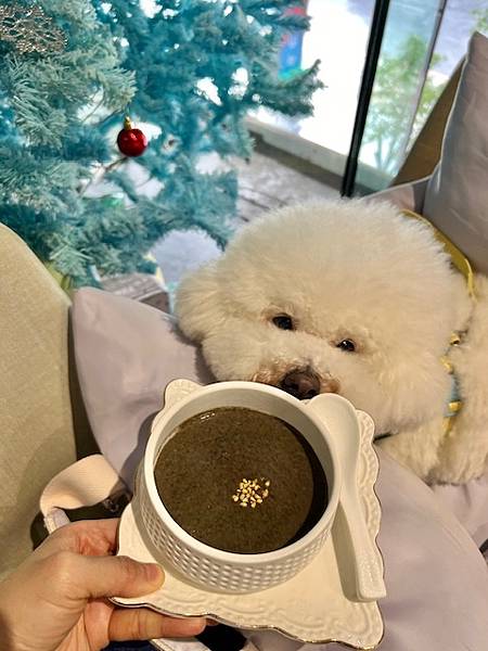 網美風質感鍋物也是寵物友善餐廳桃園藝文特區美食推薦玖圍鍋 網美風質感鍋物也是寵物友善餐廳桃園藝文特區美食推薦玖圍鍋