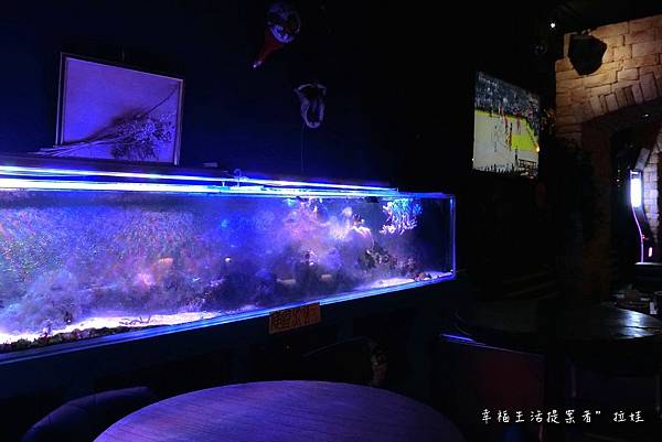 PhotoCap_CIMG1095.jpg PhotoCap_CIMG1095.jpg