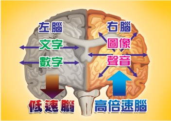 堉舜國際1.jpg 堉舜國際1.jpg