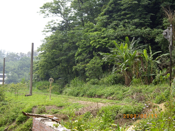 IMGP2101.JPG IMGP2101.JPG