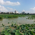 20130629_161644.jpg