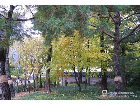 20131103-首爾行-day2-7