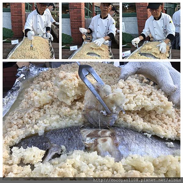 Collage_Fotor 13.jpg Collage_Fotor 13.jpg