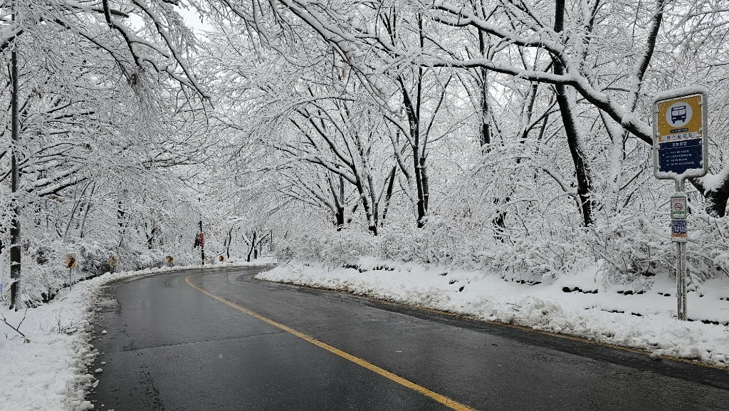 [首爾] 自由行探索當地人的行程11月大雪創紀錄