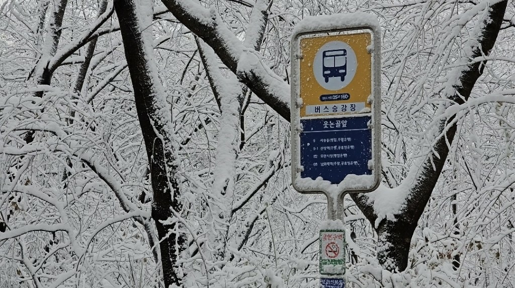 [首爾] 自由行探索當地人的行程11月大雪創紀錄