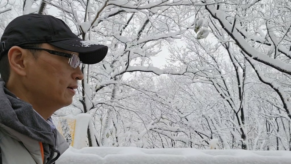 [首爾] 自由行探索當地人的行程11月大雪創紀錄