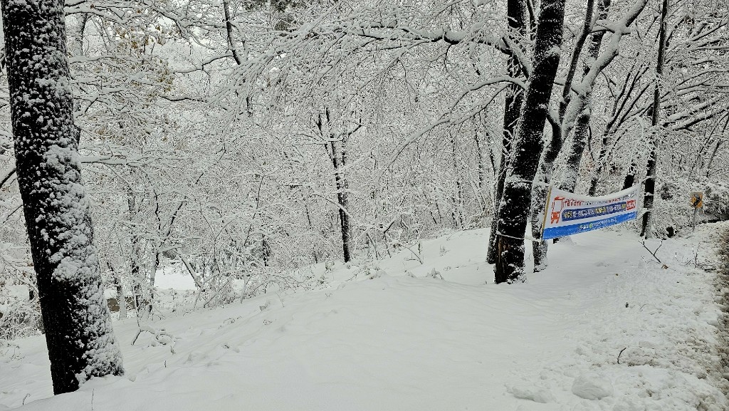 [首爾] 自由行探索當地人的行程11月大雪創紀錄