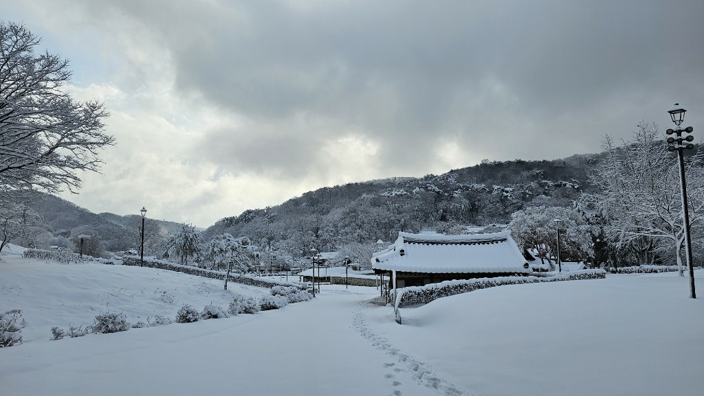 [首爾] 自由行探索當地人的行程11月大雪創紀錄