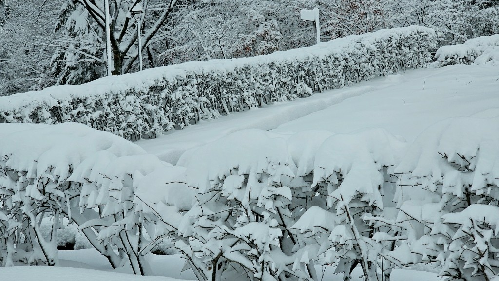[首爾] 自由行探索當地人的行程11月大雪創紀錄