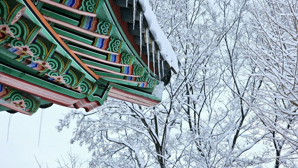 [首爾] 自由行探索當地人的行程11月大雪創紀錄