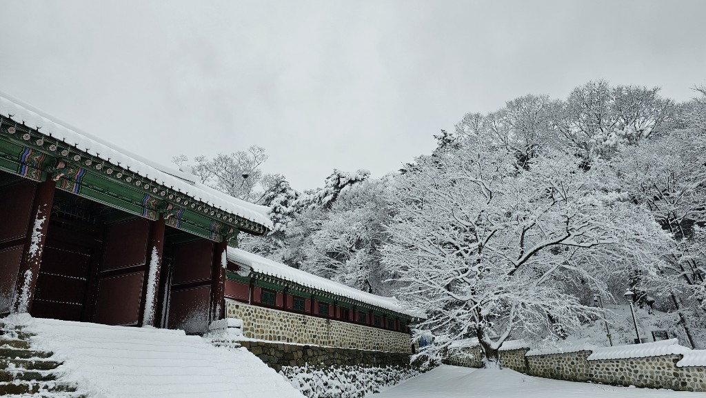[首爾] 自由行探索當地人的行程11月大雪創紀錄