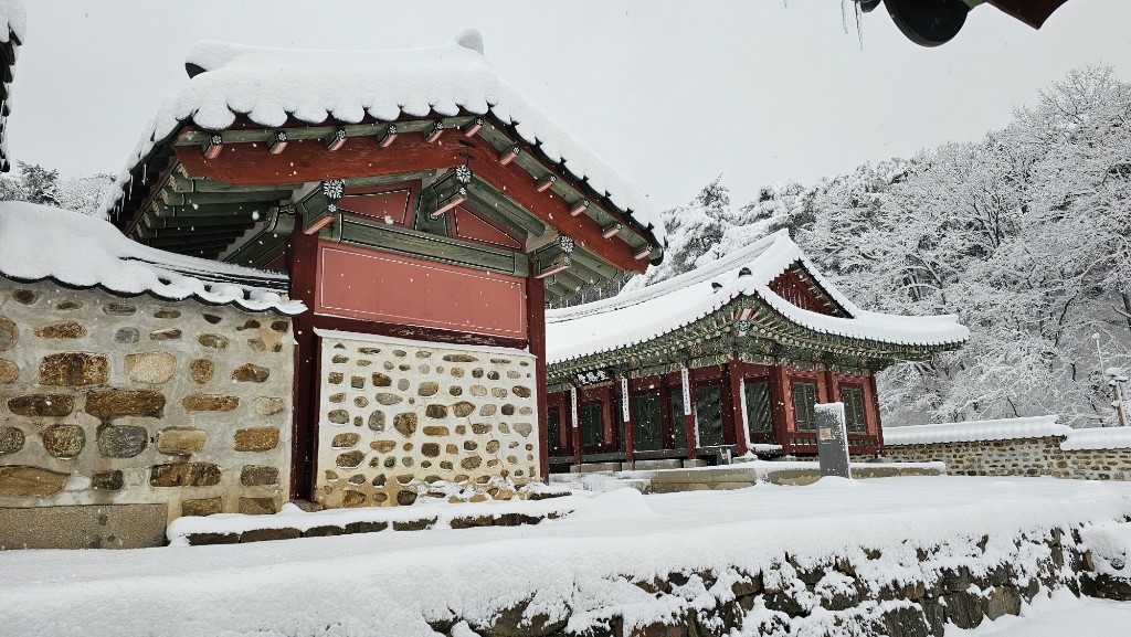 [首爾] 自由行探索當地人的行程11月大雪創紀錄