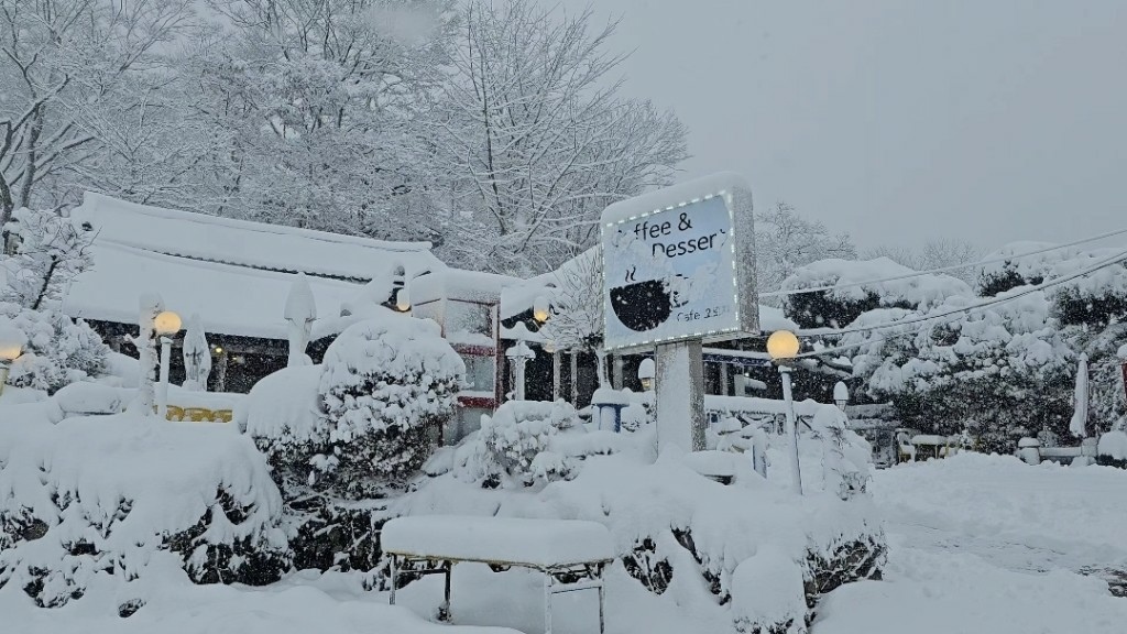 [首爾] 自由行探索當地人的行程11月大雪創紀錄