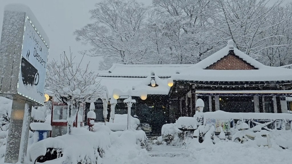 [首爾] 自由行探索當地人的行程11月大雪創紀錄