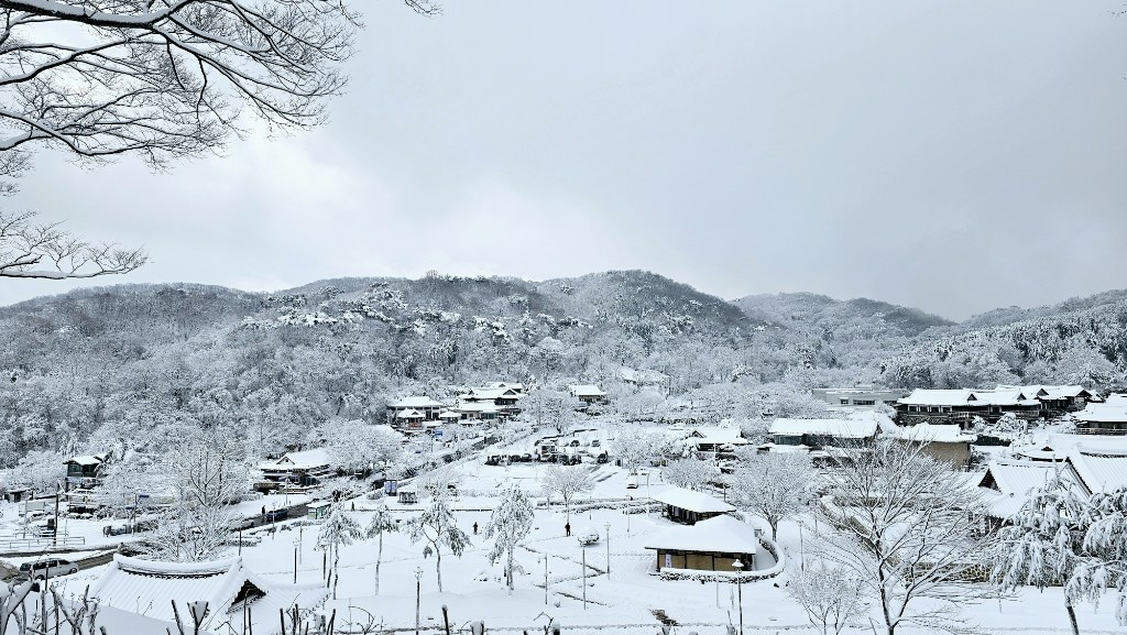 [首爾] 自由行探索當地人的行程11月大雪創紀錄