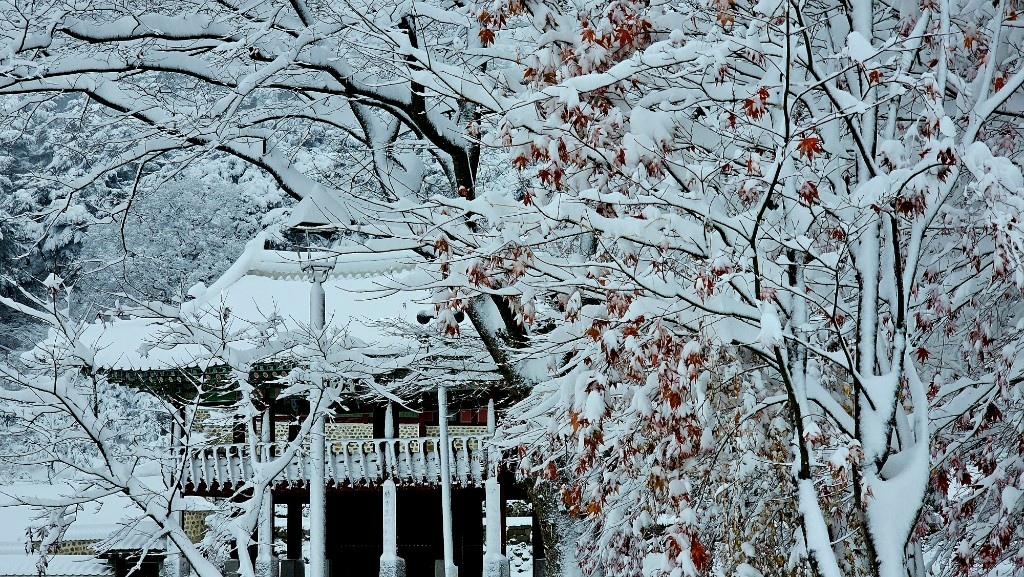 [首爾] 自由行探索當地人的行程11月大雪創紀錄