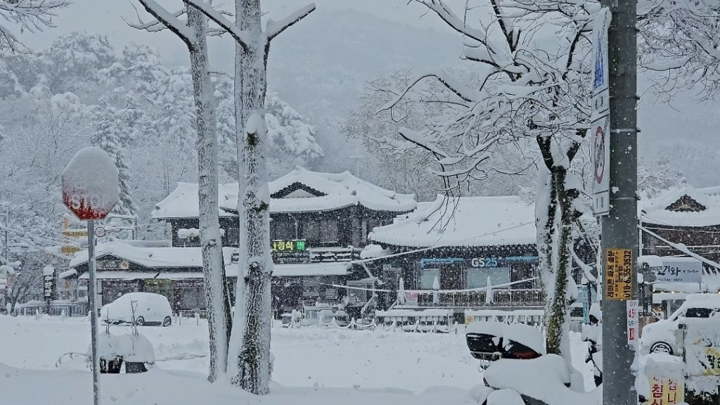 [首爾] 自由行探索當地人的行程11月大雪創紀錄